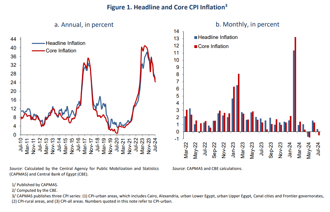 Annual headline inflation falls to 25.2% in July reflecting continued ...